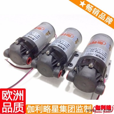dp12伏高壓洗車(chē)泵 dp單相清洗機(jī)泵專(zhuān)用電機(jī) dp洗車(chē)泵15w 伽拾