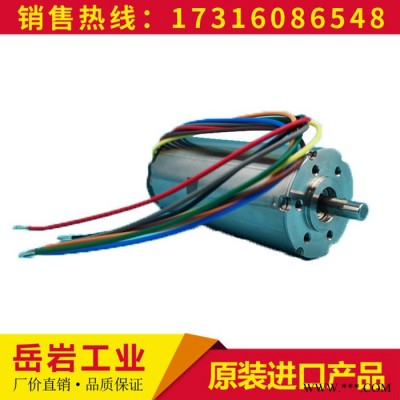 德國進口 2642W024CXR 美容儀微電機 電機