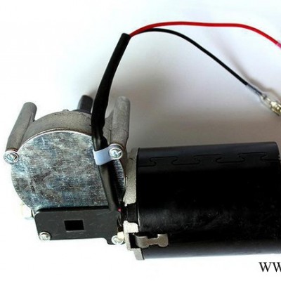 專業(yè)mandoor門人電機(jī)馬達(dá) 車庫(kù)門配件 交直流兩用電動(dòng)機(jī)