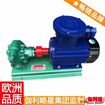 意大利原裝進(jìn)口齒輪泵 汽車(chē)輸油泵 齒輪油泵電機(jī)組 晉