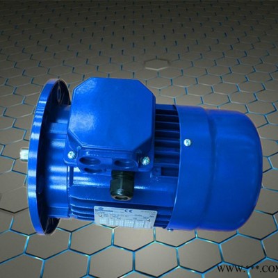 代理銷售進(jìn)口摩多利電機(jī)，意大利原裝進(jìn)口馬達(dá)，T63B4-0.18KW電機(jī)