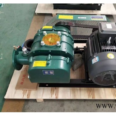 羅茨風(fēng)機 環(huán)保風(fēng)機 污水處理曝氣供氧風(fēng)機