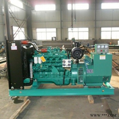 濰柴發(fā)電機出租發(fā)電機安裝發(fā)電機維修進口國產(chǎn)發(fā)電機租賃，二手機器維修、置換，環(huán)保工程