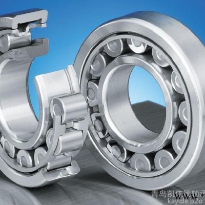 瑞典SKF進(jìn)口電機(jī)軸承批發(fā) 棲霞N220M軸承用途講解 單列短圓柱滾子軸承公司