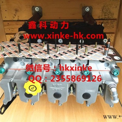 進口柴油發(fā)電機維修配件中心，進口柴油機噴油嘴DLLA144P184