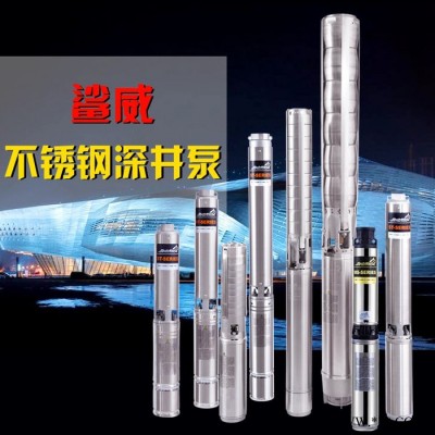 鯊?fù)?家用深井泵水式屏蔽電機(jī)進(jìn)口泵