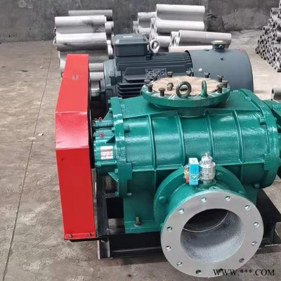 高壓鼓風機 羅茨風機廠家 羅茨鼓風機 羅茨風機