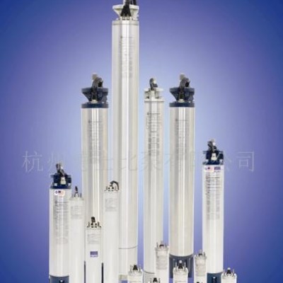 6英寸深井泵電機(jī)