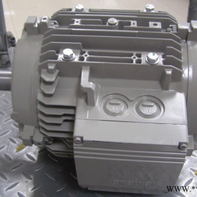 Siemens/西門子電機(jī) 低壓電機(jī)1LE1001-0DB32-2FA4-ZF01北京中能聯(lián)華進(jìn)口電機(jī)