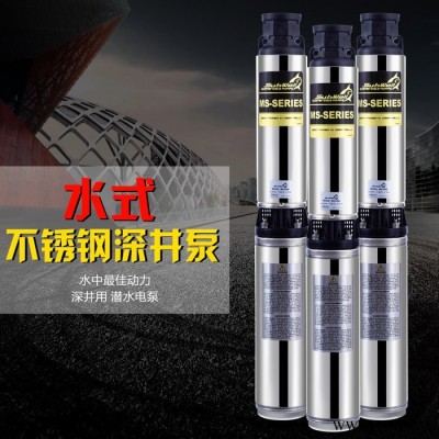 臺(tái)灣進(jìn)口深井泵家用潛水泵水式電機(jī)