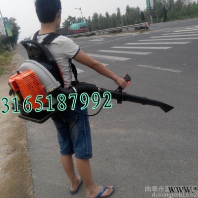 汽油吹風機  工業(yè)吹風機  背負式吹風機價格
