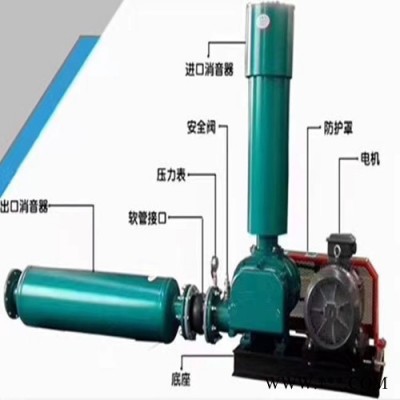恒宇 羅茨風(fēng)機(jī)  高壓羅茨風(fēng)機(jī)  直聯(lián)羅茨風(fēng)機(jī)現(xiàn)貨出售 羅茨鼓風(fēng)機(jī)廠家
