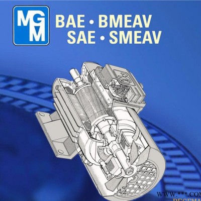 意大利原裝進(jìn)口MGM剎車電機(jī)，常州MGM制動馬達(dá)，MGM剎車BA80A4