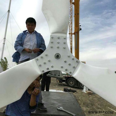 山東費(fèi)縣風(fēng)力發(fā)電機(jī)小型 2.5kw風(fēng)力發(fā)電機(jī)靜音發(fā)電