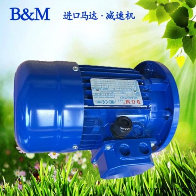 蘇州銷售意大利BGM馬達，進口電機馬達，BM100L2-3KW電機