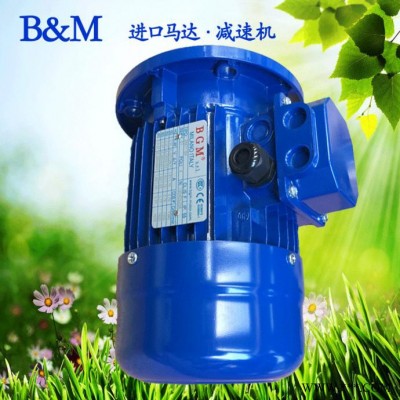 蘇州銷售意大利BGM馬達，進口電機馬達，BM90S2-1.5KW電機