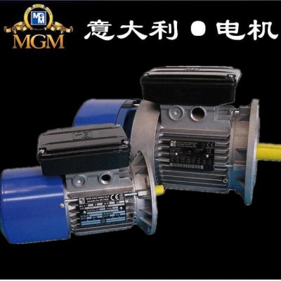 意大利原裝進(jìn)口剎車電機(jī)MGM電磁制動(dòng)電機(jī)0.75KW高效節(jié)能電機(jī)