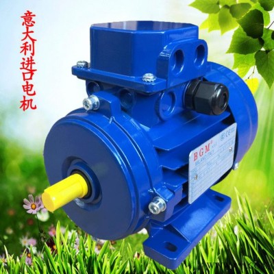 蘇州銷售意大利BGM馬達(dá)，進(jìn)口電機(jī)馬達(dá)，BM80A2-0.75KW電機(jī)