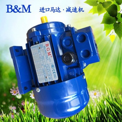 南京銷售意大利BGM馬達，進口電機馬達，BM63A2-0.18KW電機