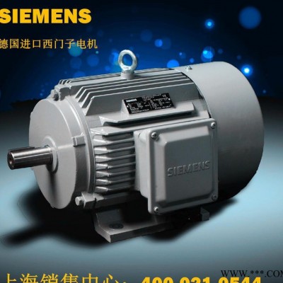 西門(mén)子電機(jī)德國(guó)SIEMENS原裝進(jìn)口馬達(dá)國(guó)產(chǎn)1LGO標(biāo)準(zhǔn)電機(jī)鋁合金電機(jī)