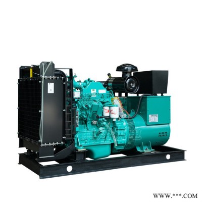 發(fā)電機(jī)組 康明斯發(fā)電機(jī) 柴油發(fā)電機(jī)組 養(yǎng)殖場發(fā)電機(jī)