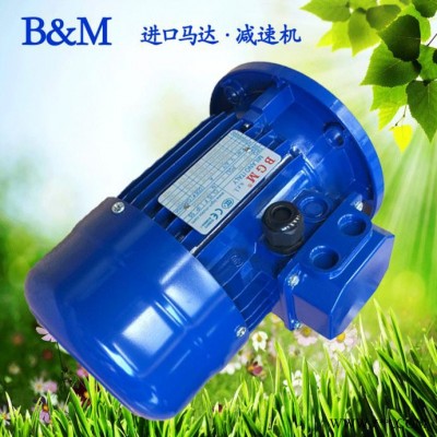 蘇州銷售意大利BGM馬達，進口電機馬達，BM80B2-1.1KW電機