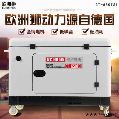 歐洲獅發(fā)電機(jī)3kw柴油發(fā)電機(jī)