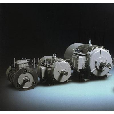 德國原裝西門子進(jìn)口電機(jī)