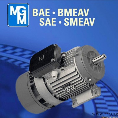 意大利原裝進(jìn)口MGM剎車電機(jī)，杭州MGM制動(dòng)馬達(dá)，MGM剎車BA132MA4