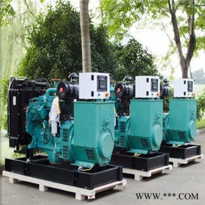 專業(yè)發(fā)電機廠家供應(yīng)發(fā)電機配件 柴油發(fā)電機配件 康明斯配件 康明斯發(fā)電機配件 種類多規(guī)格全 量大價優(yōu)