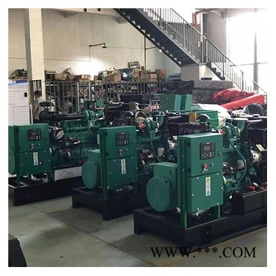 偉能 珀金斯系列 柴油發(fā)電機組  柴油發(fā)電機 珀金斯發(fā)電機組