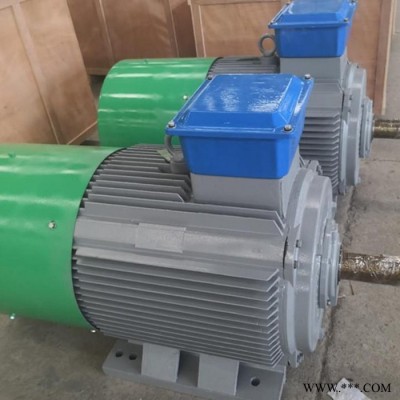 藍(lán)潤大功率永磁發(fā)電機(jī) 100KW直驅(qū)交流發(fā)電機(jī) 大型發(fā)電機(jī)生產(chǎn)廠家