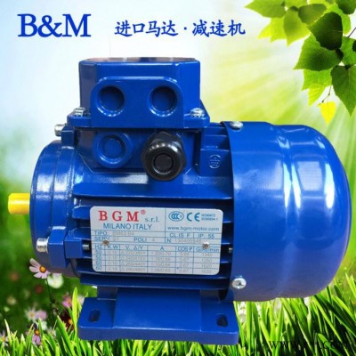 南京銷售意大利BGM馬達(dá)，進(jìn)口電機(jī)馬達(dá)，BM90L4-1.1KW電機(jī)