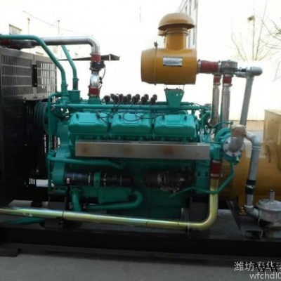 300KW天然氣沼氣發(fā)電機 上柴燃氣發(fā)電機組 沼氣發(fā)電機價格 天然氣發(fā)電機廠家 沼氣發(fā)電機廠家