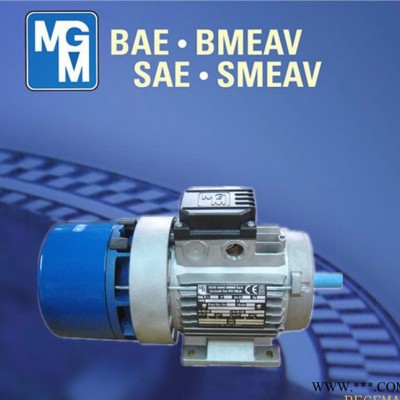 原裝進口MGM電機，MGM意大利，原裝**MGM制動馬達，BA100LB6
