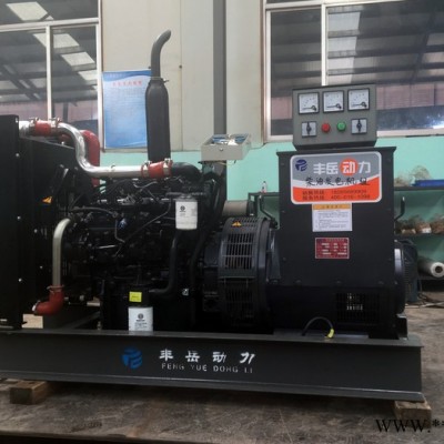 濰柴100kw發(fā)電機(jī)組 原廠無刷發(fā)電機(jī) 濰柴發(fā)電機(jī)廠家 100千瓦柴油發(fā)電機(jī)組 濰柴發(fā)電機(jī)組