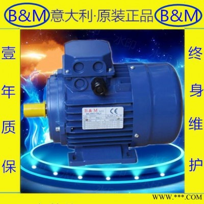意大利原裝進(jìn)口B&M0.75KW三相交流電機(jī)耐高溫電機(jī) 現(xiàn)貨出售