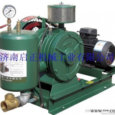 回旋鼓風(fēng)機(jī) 濟(jì)南啟正回轉(zhuǎn)風(fēng)機(jī) 小型低噪音回轉(zhuǎn)風(fēng)機(jī)