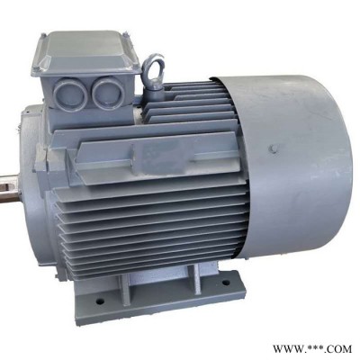 鑫瑞達低速永磁發(fā)電機 大小型永磁發(fā)電機 工作噪音低