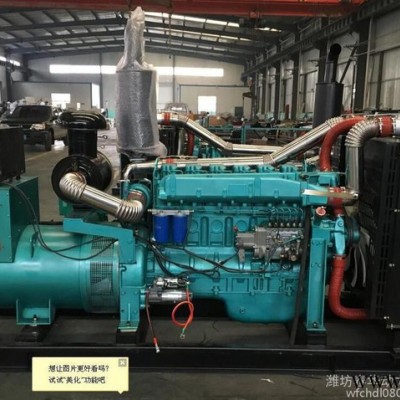濰柴（6126ZLD）200KW柴油發(fā)電機組 賓館酒店專用 濰坊發(fā)電機 全銅發(fā)電機
