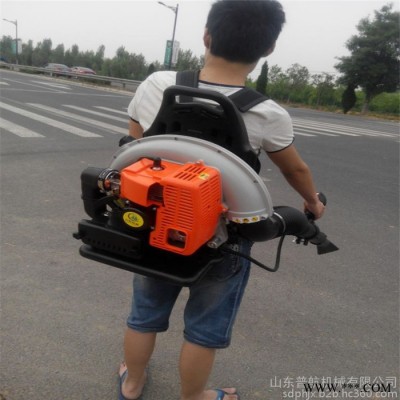 大功率背負式汽油吹風機  普航手提風力滅火機 雅馬哈背負式吹風機廠家