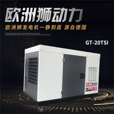 柴油發(fā)電機(jī)20kw原裝價格  歐洲獅發(fā)電機(jī)組
