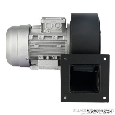 浙江風(fēng)派DF-2-II 風(fēng)機(jī)  750W  DF多翼式離心風(fēng)機(jī)低噪音鼓風(fēng)通風(fēng)散熱冷卻抽風(fēng)機(jī)工業(yè)風(fēng)機(jī)220V380V