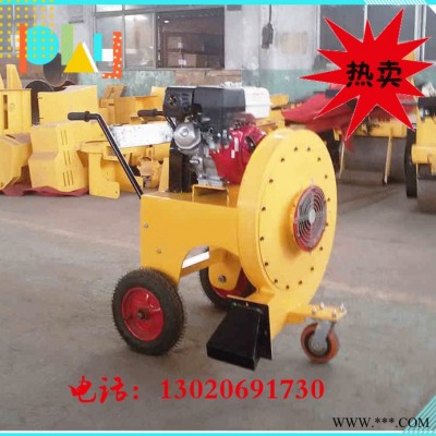 **現(xiàn)貨路面吹風(fēng)機(jī)，汽油吹風(fēng)機(jī)，工程吹風(fēng)機(jī)，手推式吹風(fēng)機(jī)，掃雪機(jī)