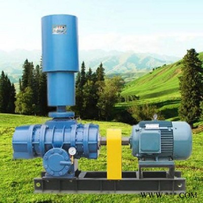 恒陽羅茨鼓風(fēng)機 鼓風(fēng)機廠家 鼓風(fēng)機 質(zhì)量保證 三葉羅茨風(fēng)機