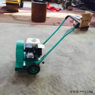 潤(rùn)煤STCF-55    路面吹風(fēng)機(jī) 瀝青路面專用吹風(fēng)機(jī) 手推式吹風(fēng)機(jī) 汽油吹風(fēng)機(jī)