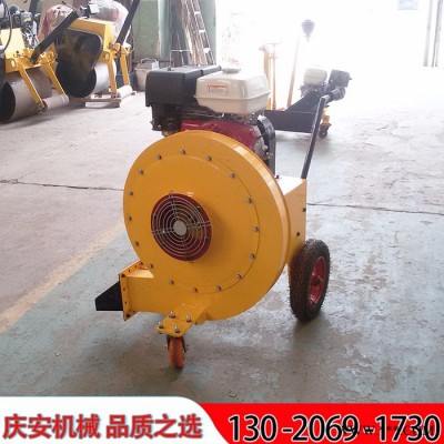 慶安QCF-50/90 汽油吹風(fēng)機(jī)，馬路吹風(fēng)機(jī)，大功率吹風(fēng)機(jī)，道路養(yǎng)護(hù)吹風(fēng)機(jī)