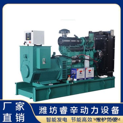 玉柴發(fā)電機(jī)組 發(fā)電機(jī)組廠家 柴油發(fā)電機(jī)組 睿辛動(dòng)力