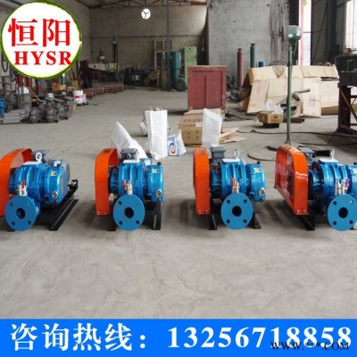 供應(yīng)恒陽HYSR50-300羅茨風(fēng)機/章丘鼓風(fēng)機/三葉羅茨風(fēng)機