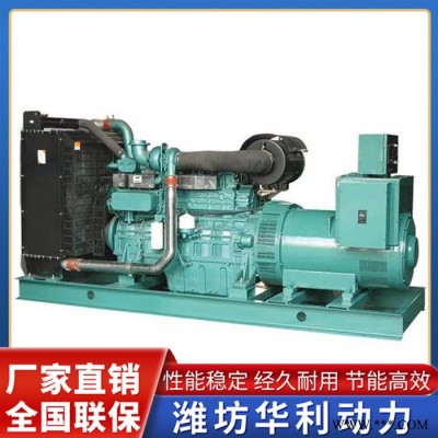 玉柴發(fā)電機組 濰坊發(fā)電機組生產(chǎn)廠家 廣西玉柴發(fā)電機組 濰坊發(fā)電機組價格 華利動力 品質(zhì)保證